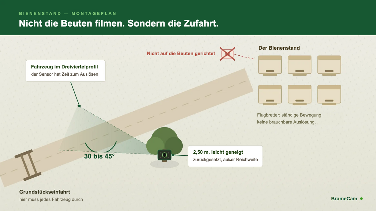Montageplan einer Wildkamera an der Zufahrt zu einem Bienenstand