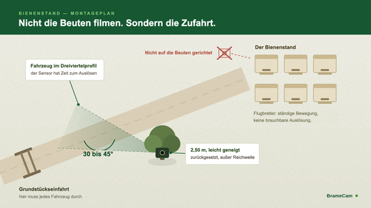 Montageplan einer Wildkamera an der Zufahrt zu einem Bienenstand